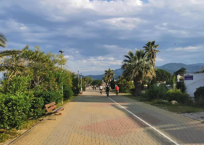 Le Petit Bois En Bord De Mer - Acces Animations, Commerce Et Plage