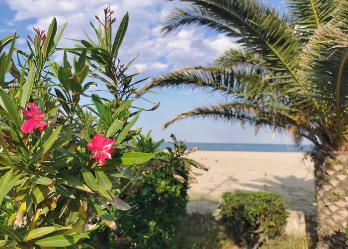 Le Petit Bois En Bord De Mer - Acces Animations, Commerce Et Plage